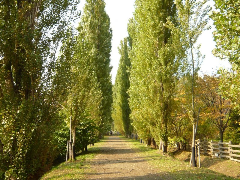 🎓 홋카이도 대학 이미지 7